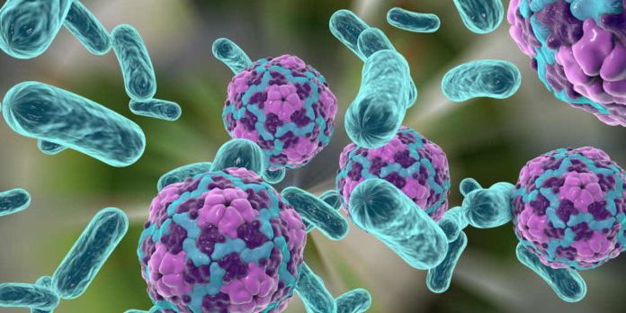 Bacteria and viruses on colorful background, 3D illustration