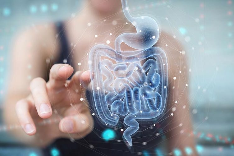 microbiota intestinale