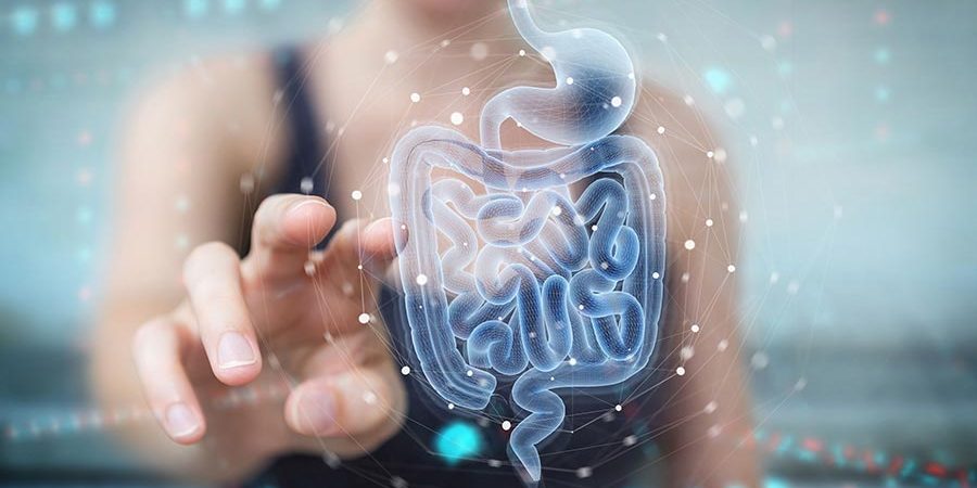 microbiota intestinale