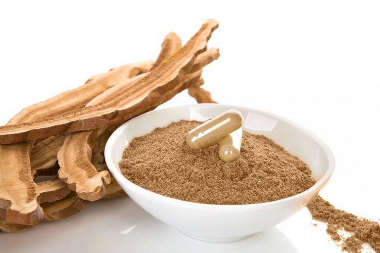 Reishi Plus