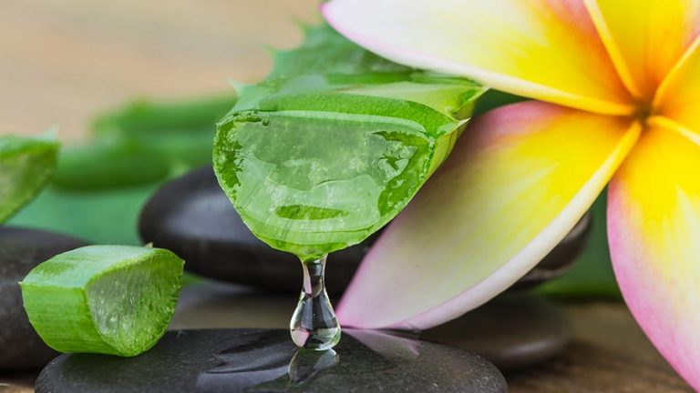 Aloe Vera benefici