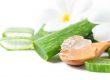 aloe vera slim