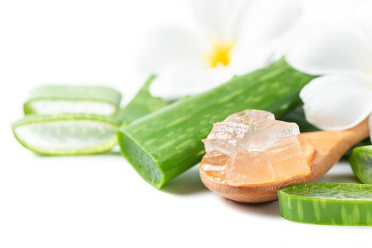 aloe vera slim