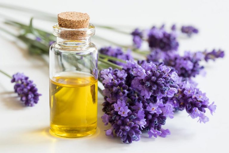 Lavanda