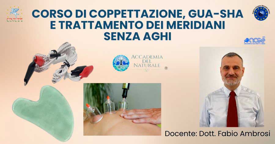 corso-coppettazione-gua-sha-trattamento-meridiani-senza-aghi Corso di coppettazione, gua sha e trattamento dei meridiani senza aghi